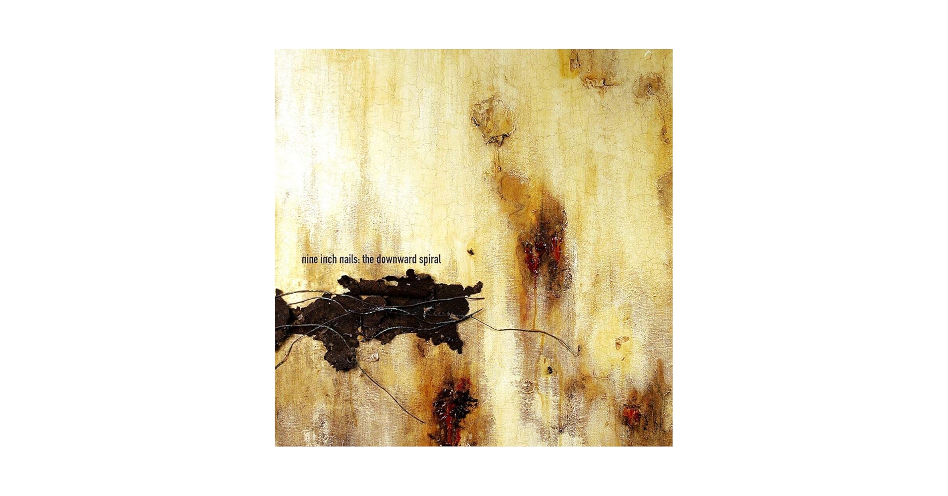 Amazon.com: The Downward Spiral [2 LP]: CDs & Vinyl